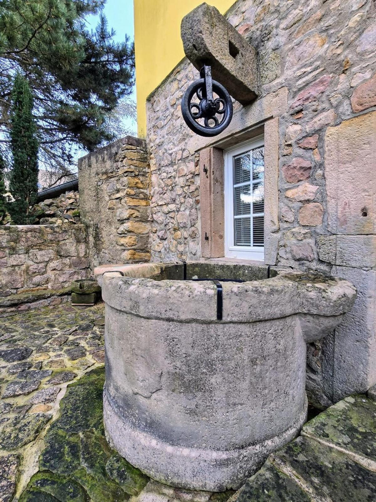 Studio Route Des Vins D 'Alsace Eichhoffen Exterior foto
